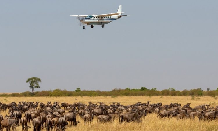 Maasai Mara Travel Guide: Driving vs. Flying – Pros, Cons, and Insider Tips
