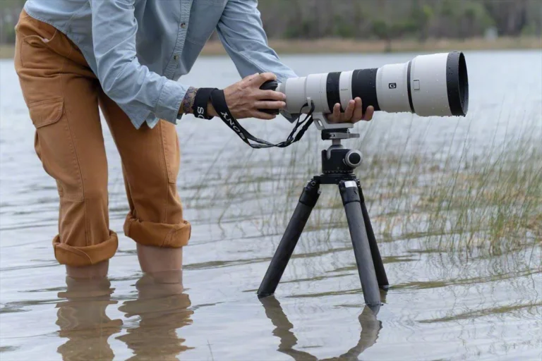 Best Camera Lenses for East Africa Wildlife Photography in 2025