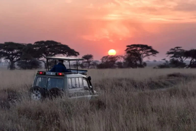 Why You Shouldn’t Take a Taxi from Nairobi to Masai Mara: Best Travel Options for Your Safari Adventure