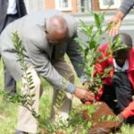 Nairobi City Marathon 2026: Athletics Kenya Unveils Major Environmental Sustainability Initiative | Pulse Sports Kenya