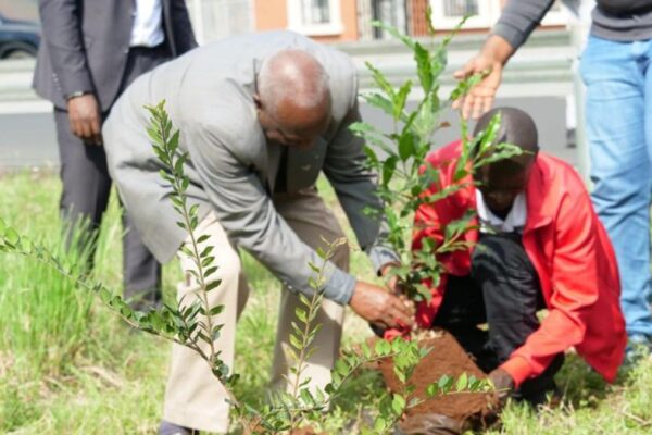 Nairobi City Marathon 2026: Athletics Kenya Unveils Major Environmental Sustainability Initiative | Pulse Sports Kenya