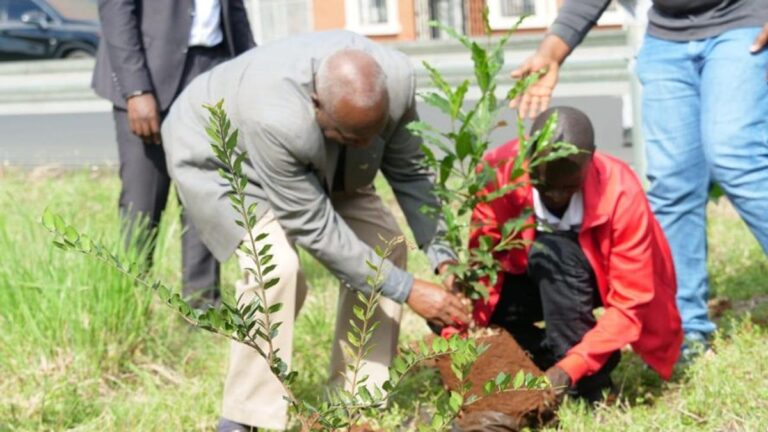 Nairobi City Marathon 2026 Unveils Groundbreaking Environmental Initiative
