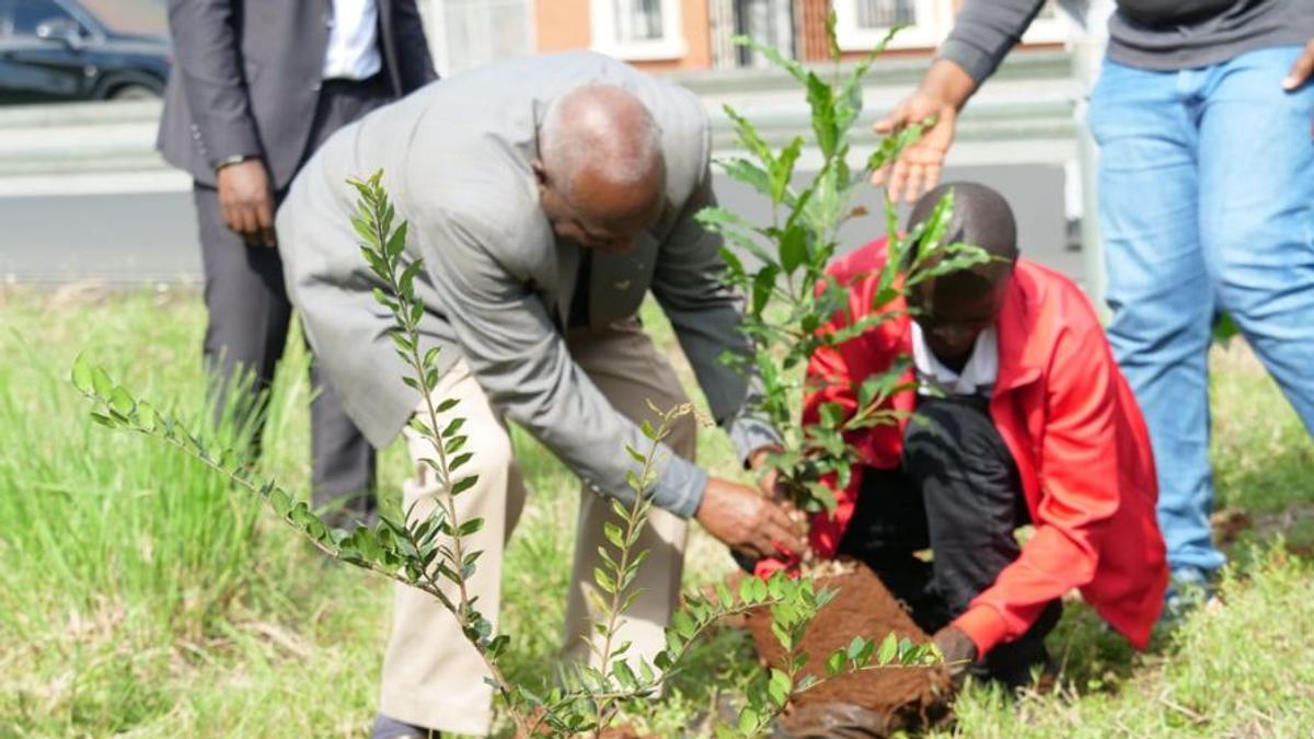 Nairobi City Marathon 2026: Athletics Kenya Unveils Major Environmental Sustainability Initiative | Pulse Sports Kenya