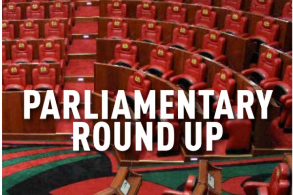 Parliamentary Round Up | Vellum Kenya