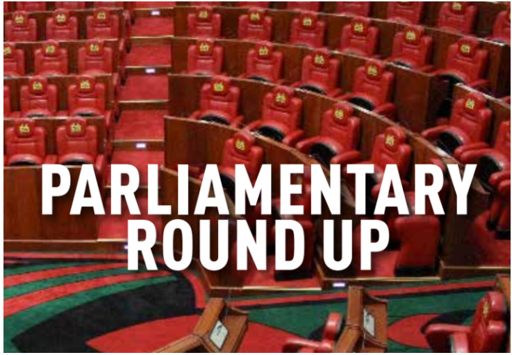 Parliamentary Round Up | Vellum Kenya