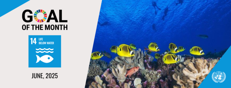 Ocean’s Vital Role Highlighted as Goal of the Month: Life Below Water Achievements