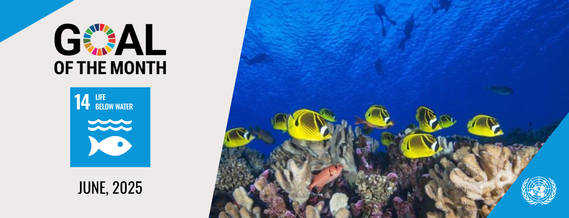 GOAL OF THE MONTH – Goal 14: Life below water - United Nations Sustainable Development